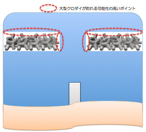 チヌ クロダイ 釣りで年無しを釣る３つのポイント ルアーフィッシングの神様